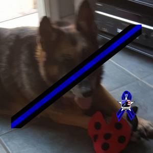 Meet your Posher, Debi